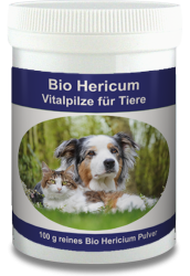 Bio Hericium Pulver